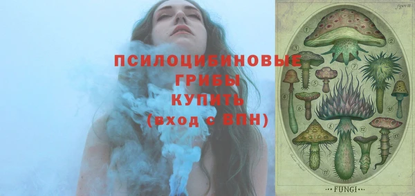 гашик Пересвет