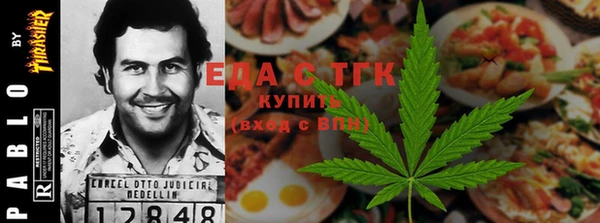 индика Моршанск