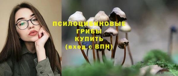 гашик Пересвет