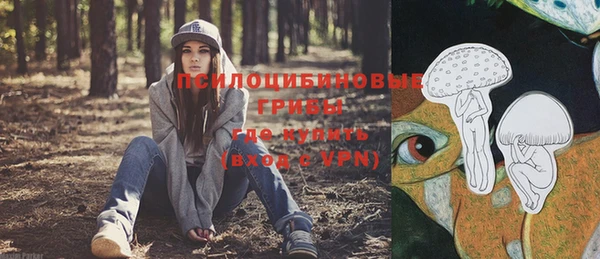 индика Армянск