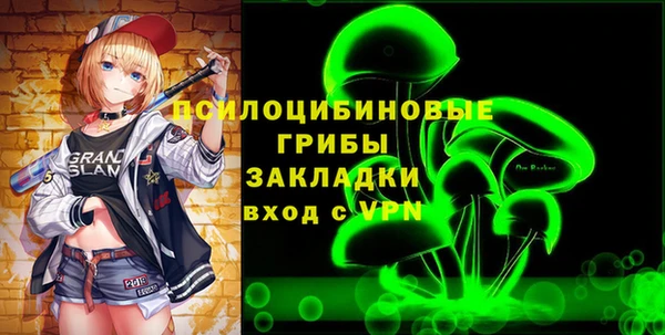 дмт Алексин